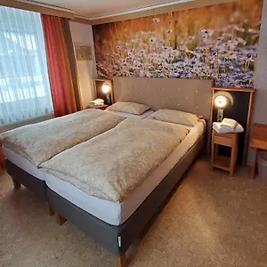 Bed & Breakfast Gaestehaus Schmidt Lichtenberg (Bavaria)